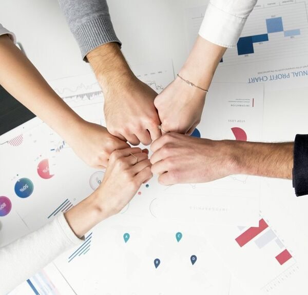 business dynamics data analysis