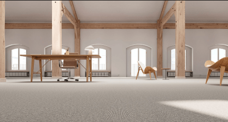 New Zealand’s Dirtiest Carpets Revealed in New Study